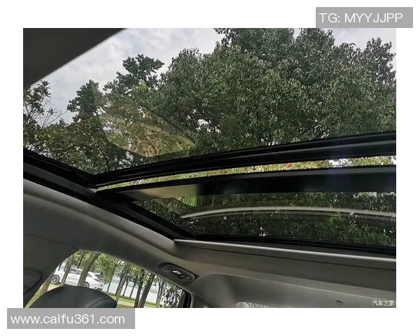 上海排球队选拔赛表现分析:团队配合与战术执行的深度解读