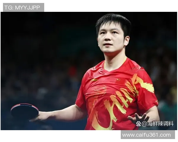 对话杨磊：回顾乒乓球生涯的辉煌与挑战之路